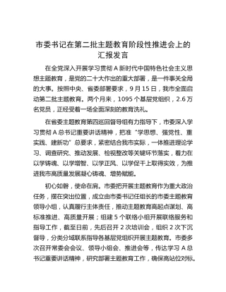 市委书记在第二批主题教育阶段性推进会上的汇报发言4600字