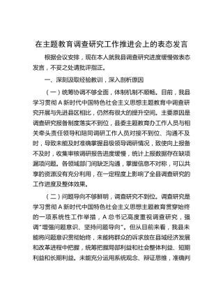 在主题教育调查研究工作推进会上的表态发言（进度缓慢表态）