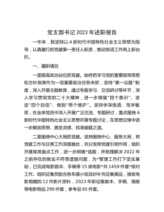 党支部书记2023年述职报告1500字