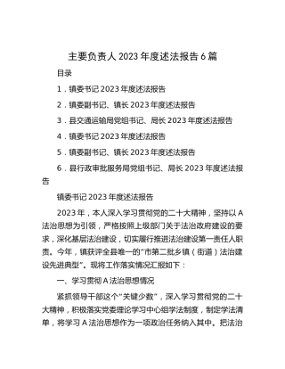 主要负责人述法报告合集6篇