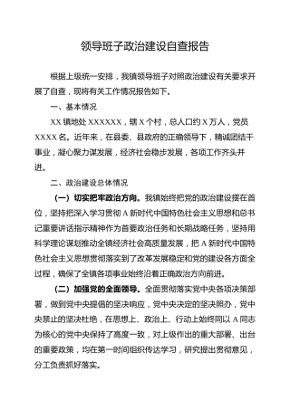 领导班子政治建设自查报告（2900字总结）