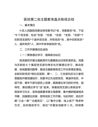 医院第二批主题教育盘点检视总结2000字