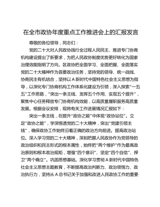 在全市政协年度重点工作推进会上的汇报发言