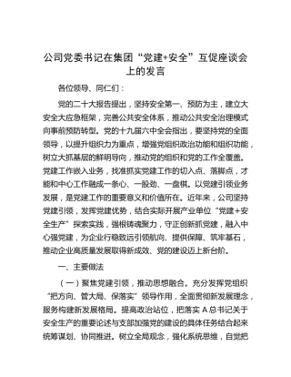 公司党委书记在“党建+安全”互促座谈会上的发言（经验总结）
