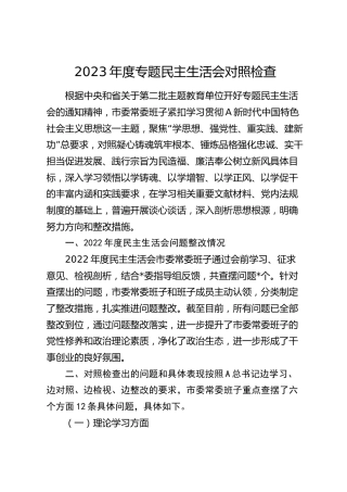 班子2023年度主题教育民主生活会对照检查5300字（市）