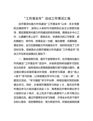 乡镇能力作风建设“工作落实年”工作总结汇报