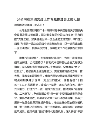 分公司在党建工作专题推进会上的汇报发言（2300字总结）