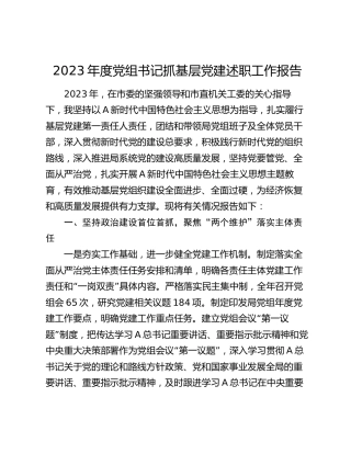 2023年度党组书记抓基层党建述职报告3200字