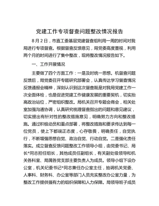 党建工作专项督查问题整改情况报告3300字