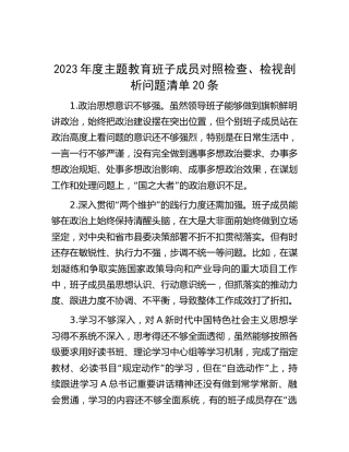 主题教育对照检查、检视剖析问题清单20条