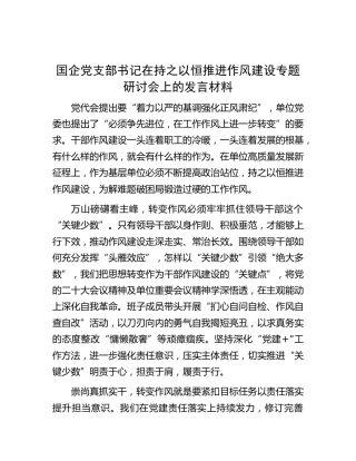 国企党支部书记在持之以恒推进作风建设专题研讨会上的发言材料（公司）