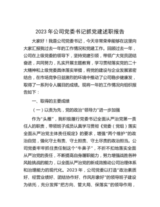 2023年公司党委书记抓党建述职报告2700字