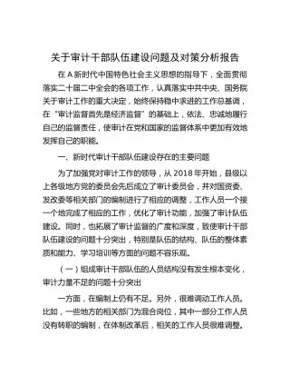 审计干部队伍建设问题及对策分析报告（调研报告参考）