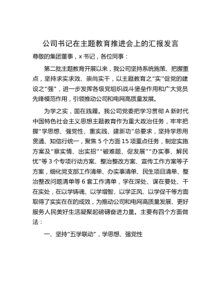 公司书记在集团主题教育推进会上的汇报发言（电力4300字总结）