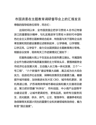 市国资委在主题教育调研督导会上的汇报发言（1700字总结）