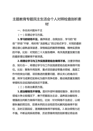 主题教育专题民主生活会个人对照检查剖析素材