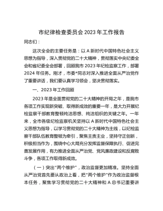 市纪律检查委员会2023年工作报告（纪检监察总结5200字）