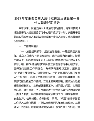 2023年主要负责人履行推进法治建设第一责任人职责述职报告2300字