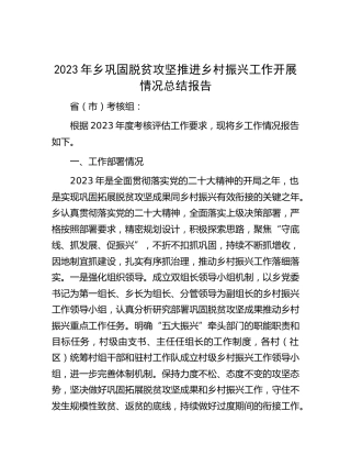 2023年乡镇巩固脱贫攻坚推进乡村振兴工作开展情况总结报告