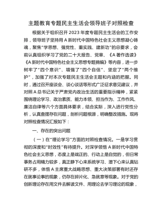 主题教育专题民主生活会领导班子对照检查5000字（法院）