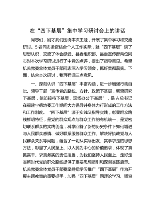在主题教育“四下基层”集中学习研讨会上的讲话1300字