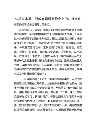 法院在主题教育调研督导会上的汇报发言（2000字总结）