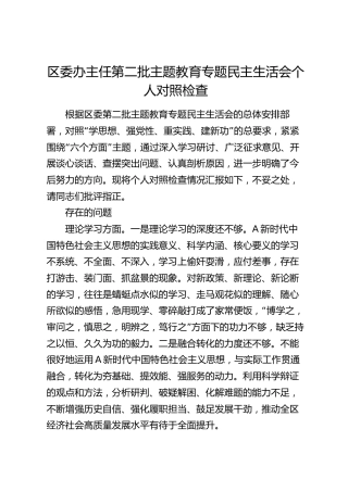 区委办主任主题教育专题民主生活会个人对照检查材料3700字