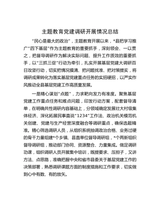 主题教育党建调查研究（调研）开展情况总结