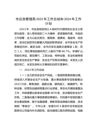 市应急管理局2023年工作总结