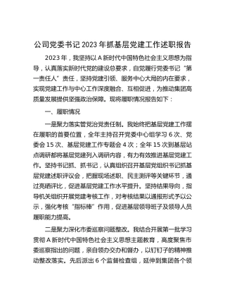 公司党委书记2023年抓基层党建工作述职报告2200字