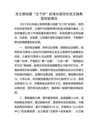 创建“五个好”标准化规范化党支部典型经验做法（公安党建经验）