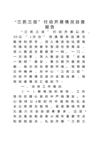 “三抓三促”行动开展情况自查总结报告5200字