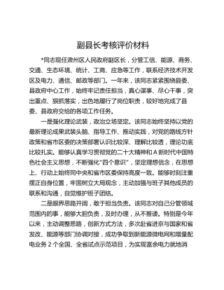 副县长考核评价材料2
