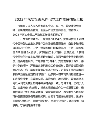 2023年副局长落实全面从严治党工作责任情况汇报（1700字总结）