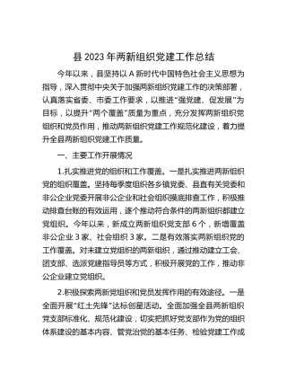 县区2023年两新组织党建工作总结