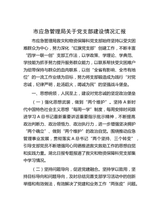 市应急管理系统近年来党支部建设情况总结汇报