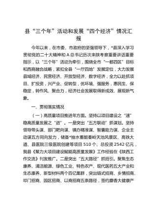 县“三个年”活动和发展“四个经济”情况总结汇报