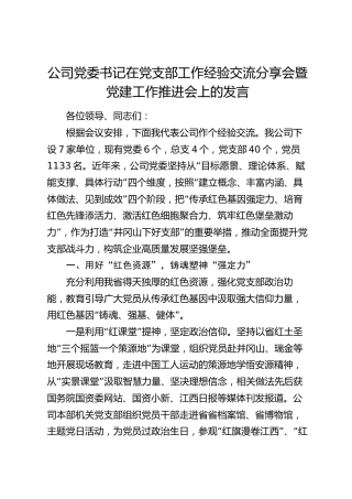 公司书记在党支部工作经验交流分享会暨党建工作推进会上的发言