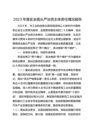 党组2023年落实全面从严治党主体责任情况报告（4100字工信）
