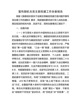 宣传部党支部党建工作问题自查报告（2300字总结）