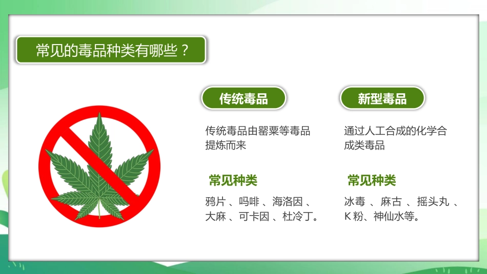 学校禁毒宣传ppt_第5页