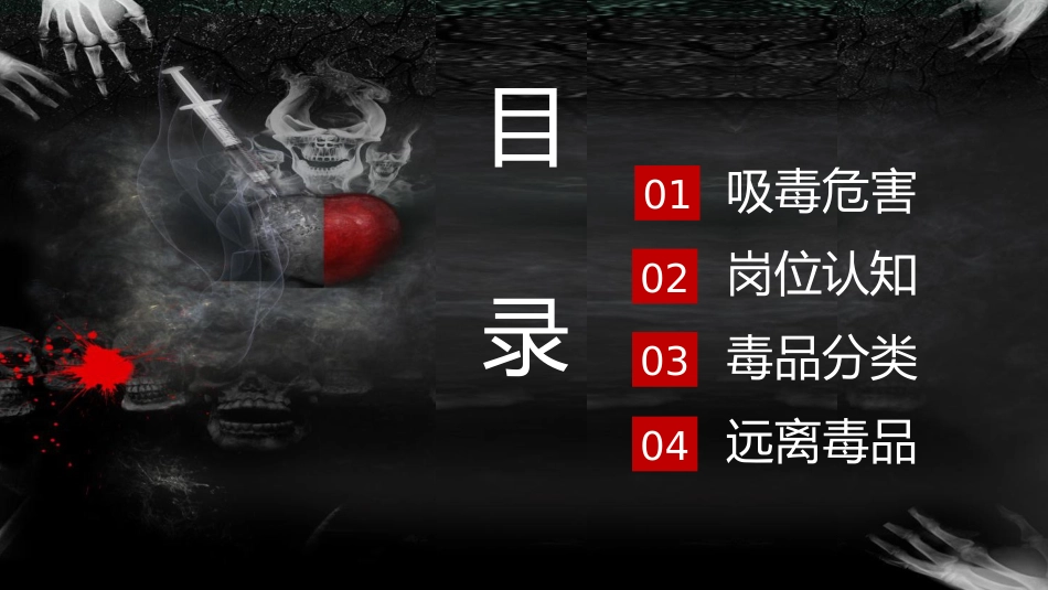 禁毒宣传(2)_第2页