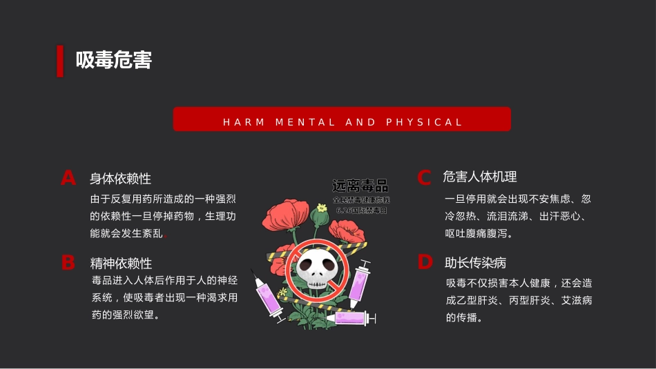 禁毒宣传(2)_第5页