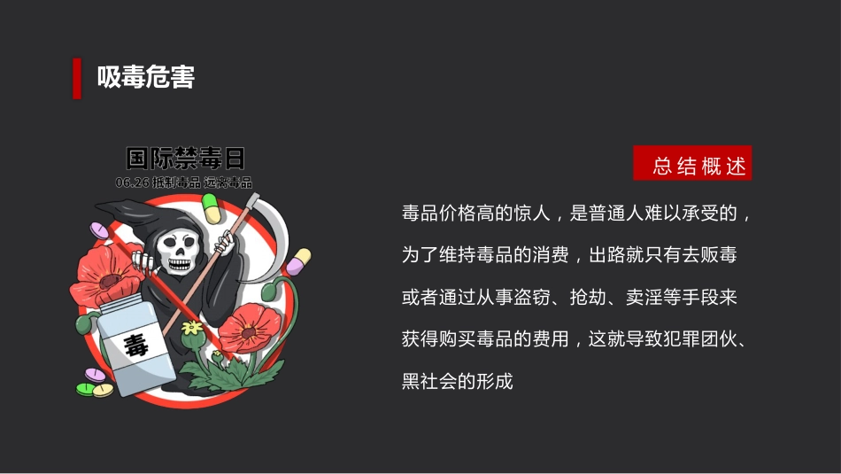 禁毒宣传(2)_第8页