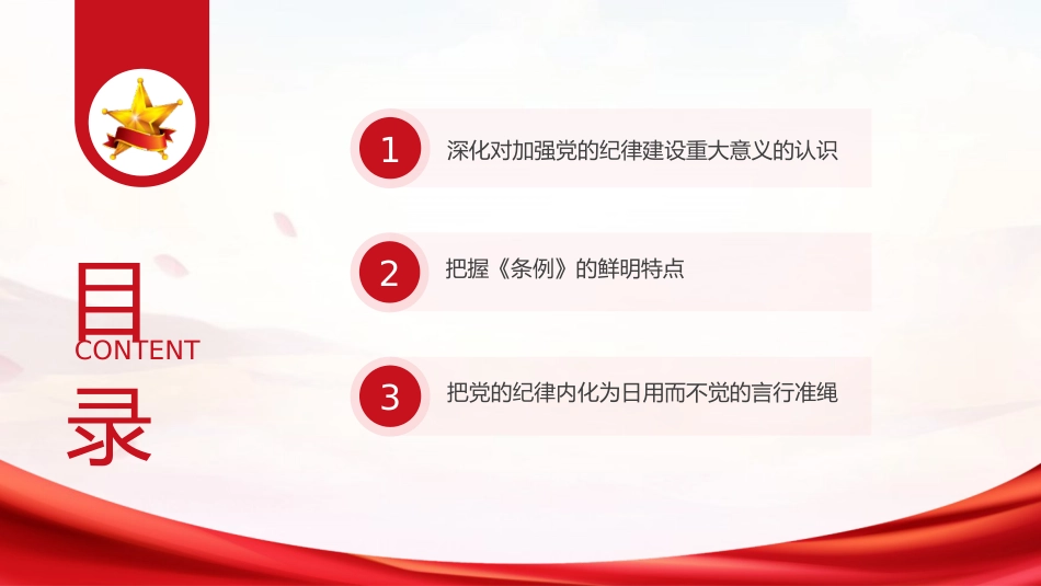 (30)学纪知纪明纪守纪_第3页