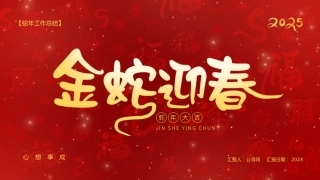 蛇年总结