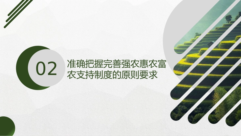 三中全会党课ppt+讲稿:完善强农惠农富农支持制度(4200字,26张,三农、农业)_第10页