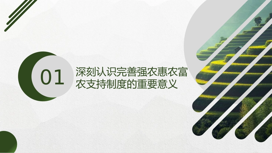 三中全会党课ppt+讲稿:完善强农惠农富农支持制度(4200字,26张,三农、农业)_第4页