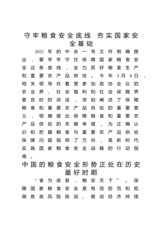 党课ppt+讲稿：守牢粮食安全底线 夯实国家安全基础（3500字，15张）