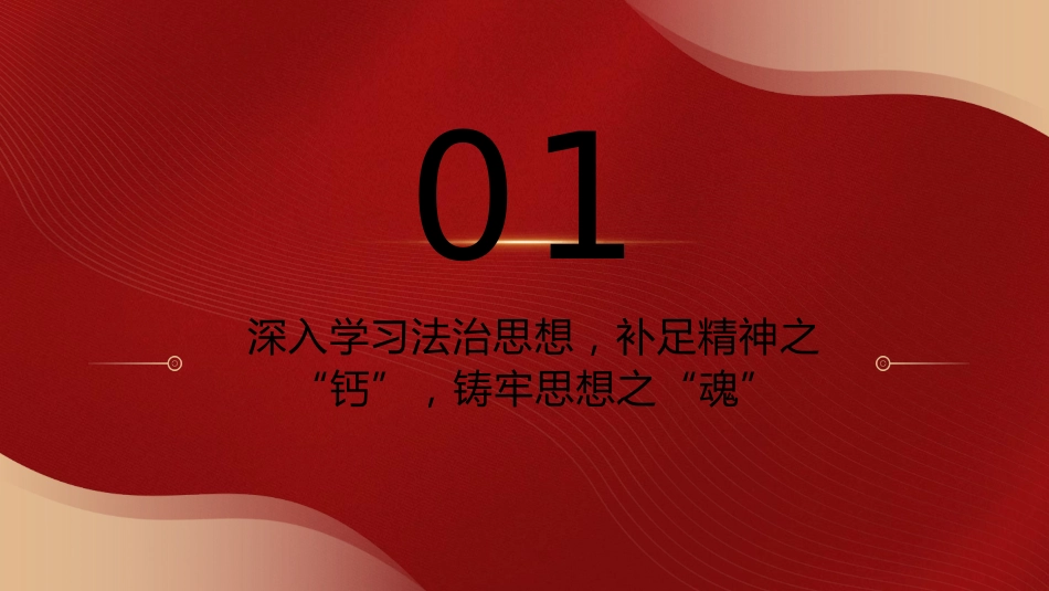 政法系统学习贯彻法治思想主题党课ppt+讲稿(2800字,17张)_第4页